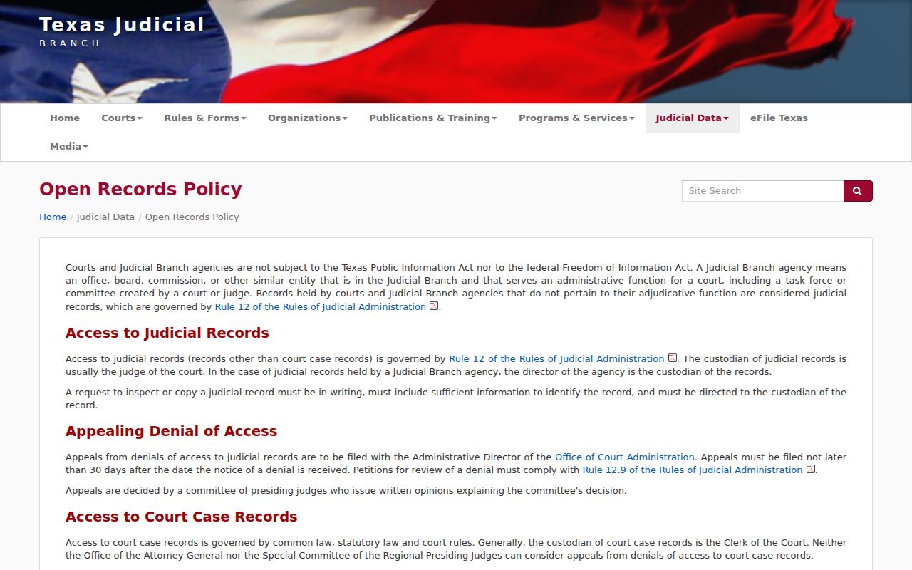 Texas policy distinguishing court case records and judicial administrative records